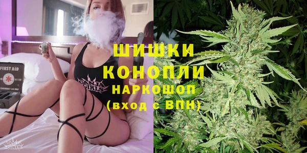 СК Ступино