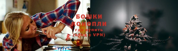 гидропоника Строитель